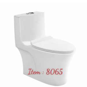 Bồn cầu nguyên khối tại Huế