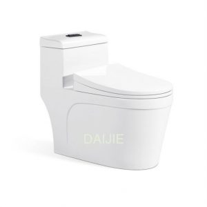 Bồn cầu nguyên khối tại Huế