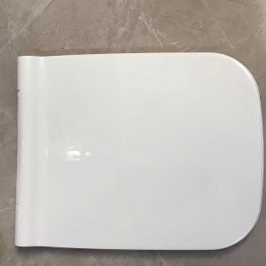 Nắp bồn cầu tại Huế